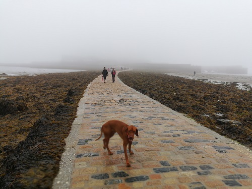 St. Michael's Mount in Cornwall